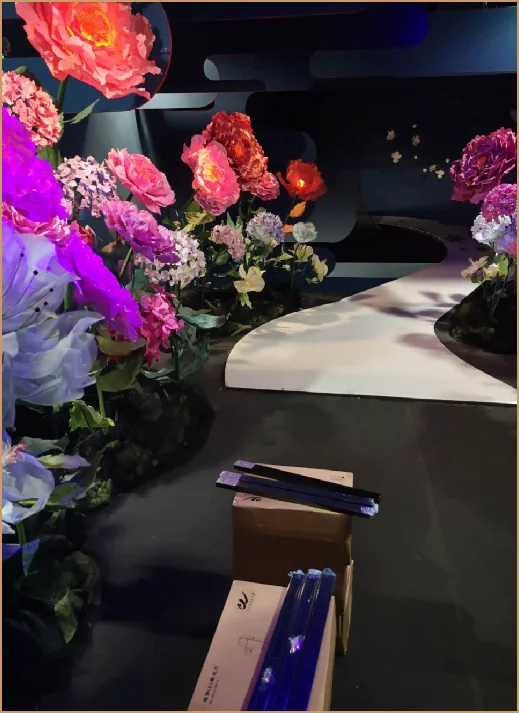 「我做了一个红楼梦」光影艺术展，图片 2