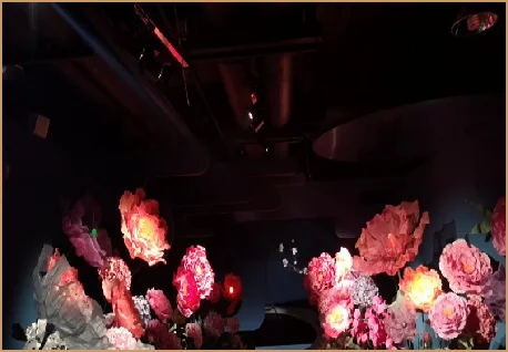 「我做了一个红楼梦」光影艺术展